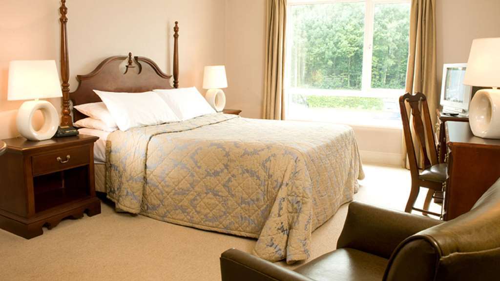 The Abbeyleix Manor Hotel Room photo