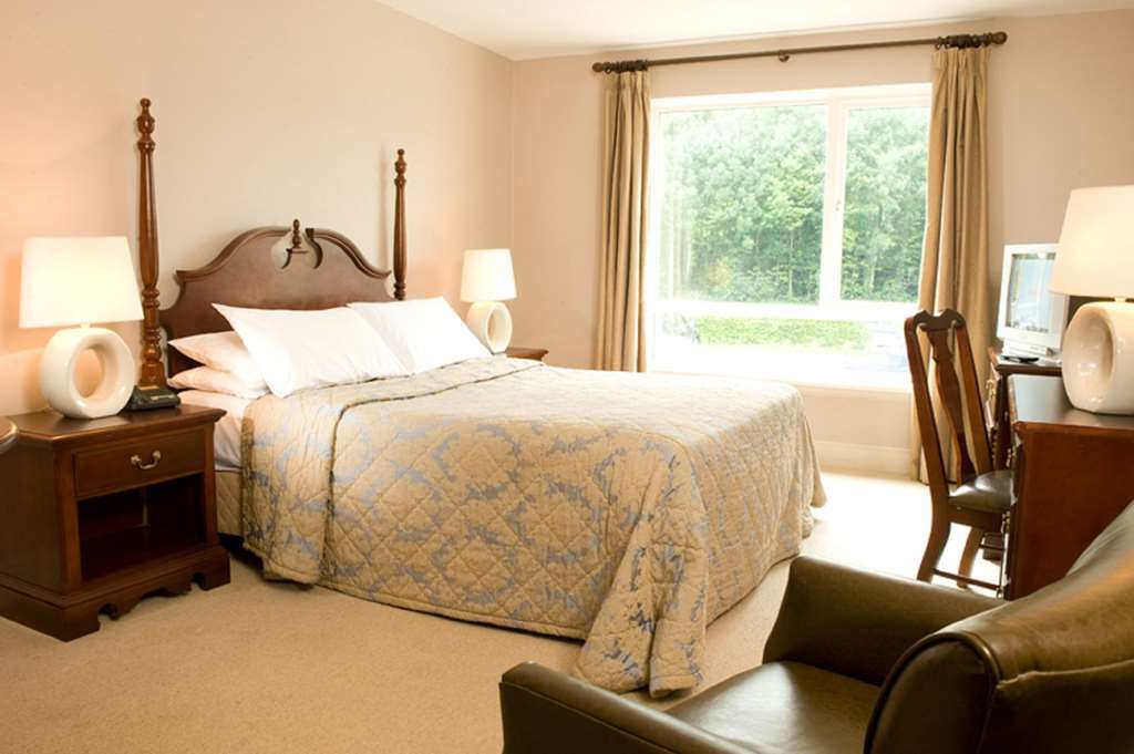 The Abbeyleix Manor Hotel Room photo